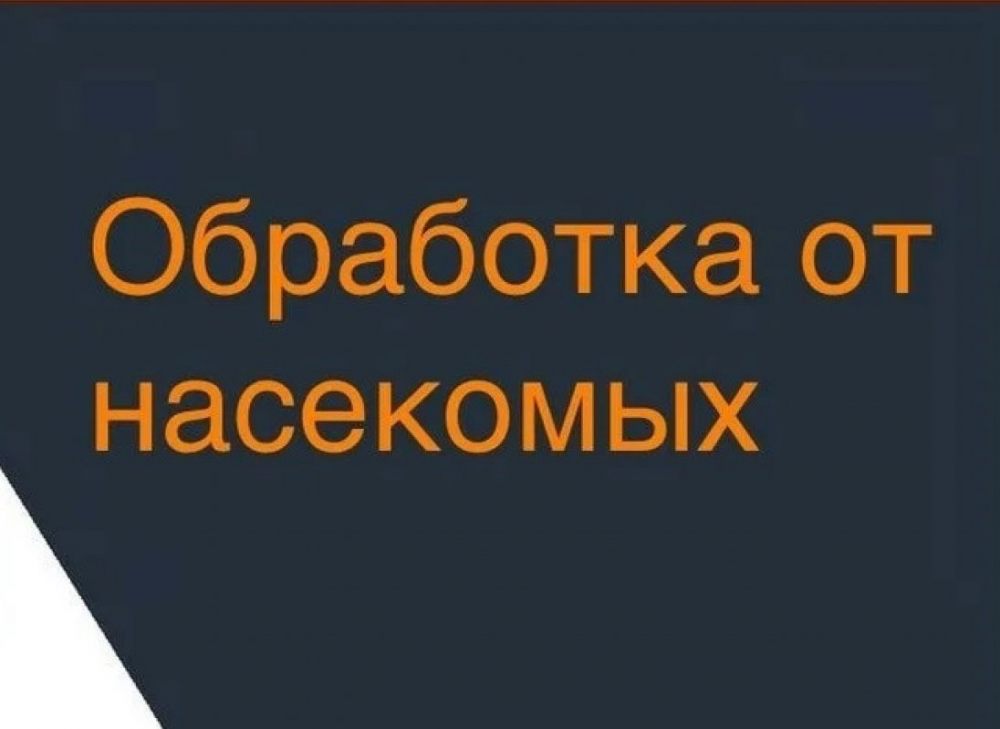Уничтожение насекомых, клещей и грызунов в Киселевске стоимость - Киселевск